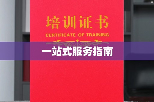 镇安一站式服务指南