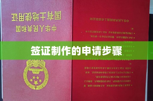 镇安签证制作的申请步骤