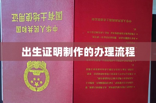 镇安出生证明制作的办理流程