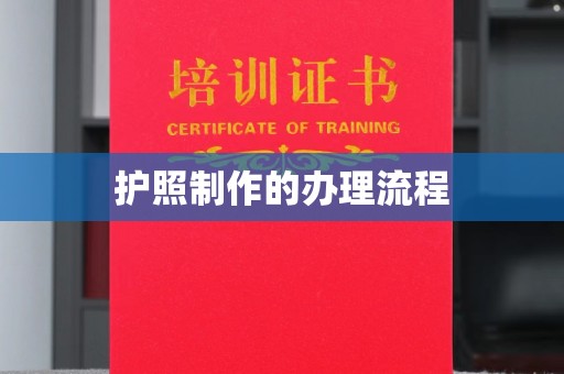 镇安护照制作的办理流程