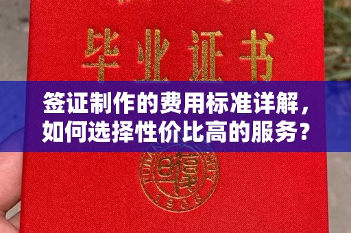 镇安签证制作的费用标准详解，如何选择性价比高的服务？