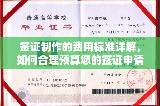 镇安签证制作的费用标准详解，如何合理预算您的签证申请成本